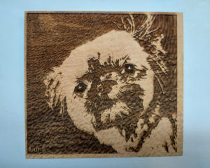 Laser etched portraits on wood